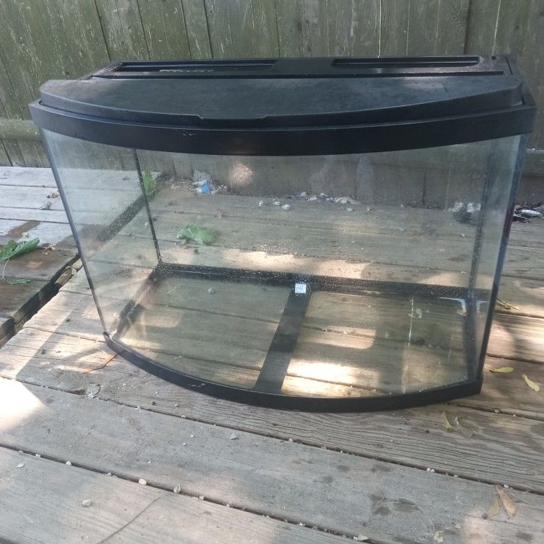 Bow Front Aquarium