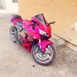 Beautiful Pink Fairings 