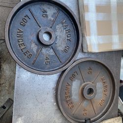 Marcy Los Angeles weight plates PAIR 45 pounds