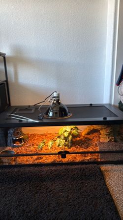 Reptile tank
