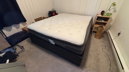 Queen Bed for Sale