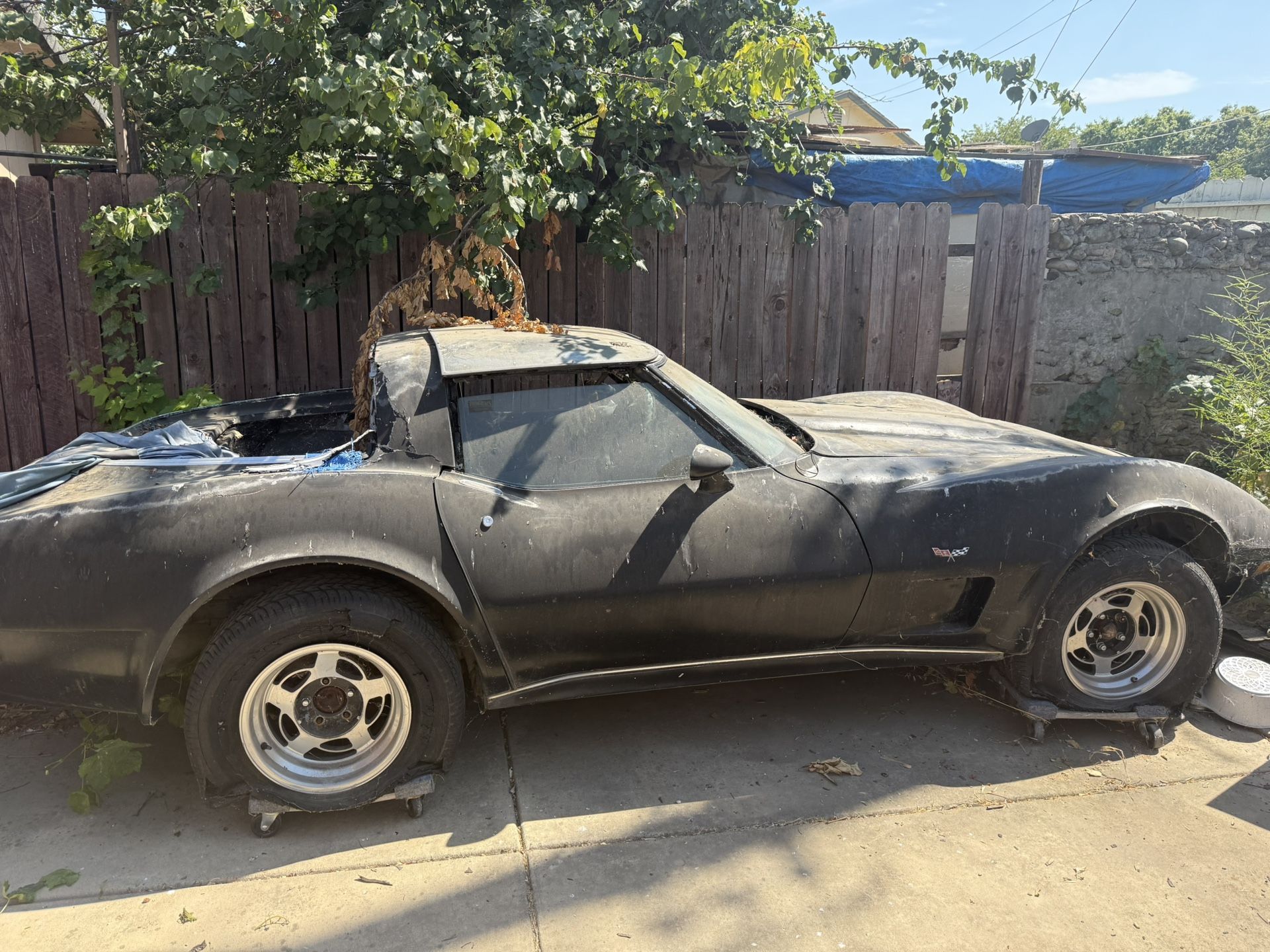 1979 Chevrolet Corvette