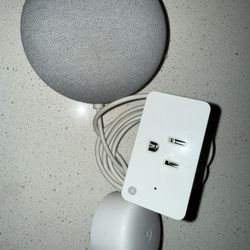 Google Mini Nest 