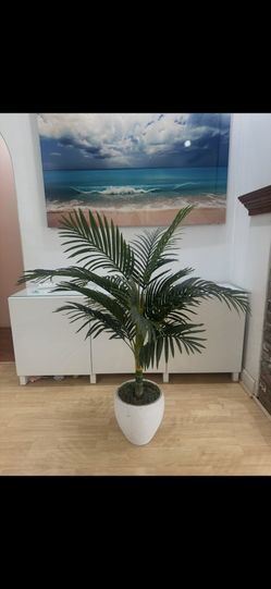 Palm Tree