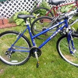 Vintage Ross https://offerup.com/redirect/?o=TXQuQmlrZQ==