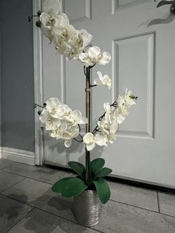 Artificial Plant 5$