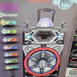 New 12" Bluetooth Speaker Rechargeable DJ Karaoke ALL IN ONE 