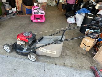 Briggs & Stratton