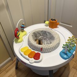 Skip Hop Activity Center