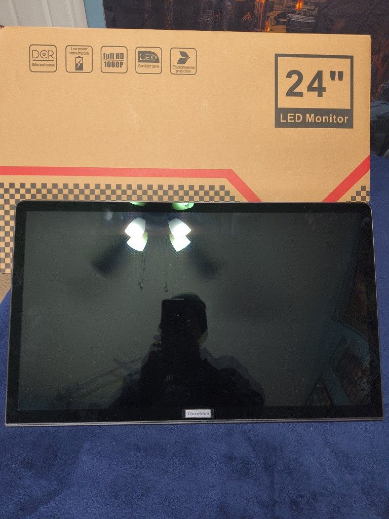 24 In LED Monitor