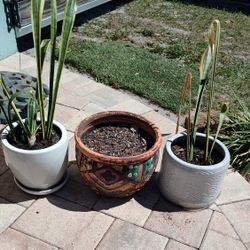 Three Gardens Pots Package Deal 