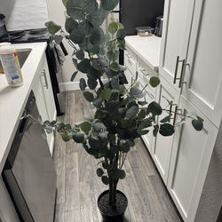 Fake House Plant