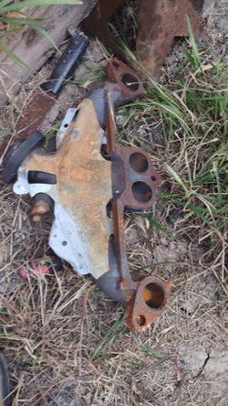 Manifold