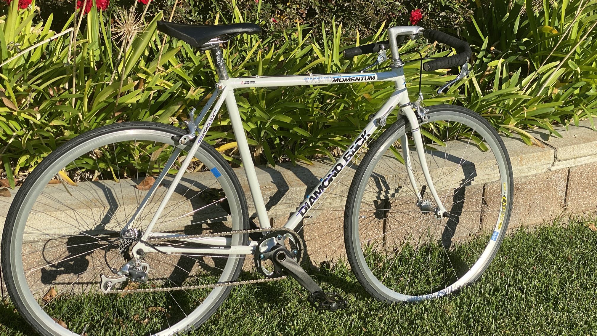 Vintage Diamondback Road Bike : Fully Restored