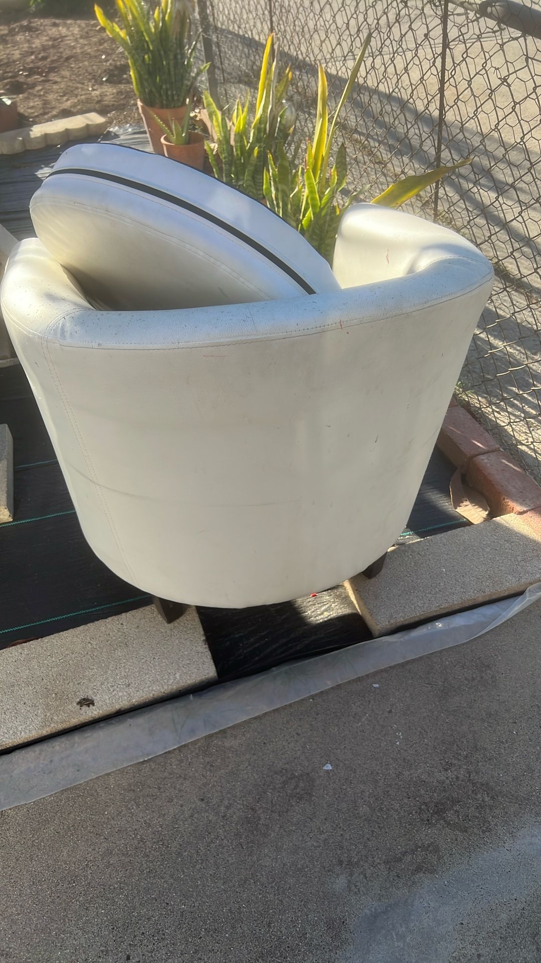 $10 Used Normal Wear Cushion Chair