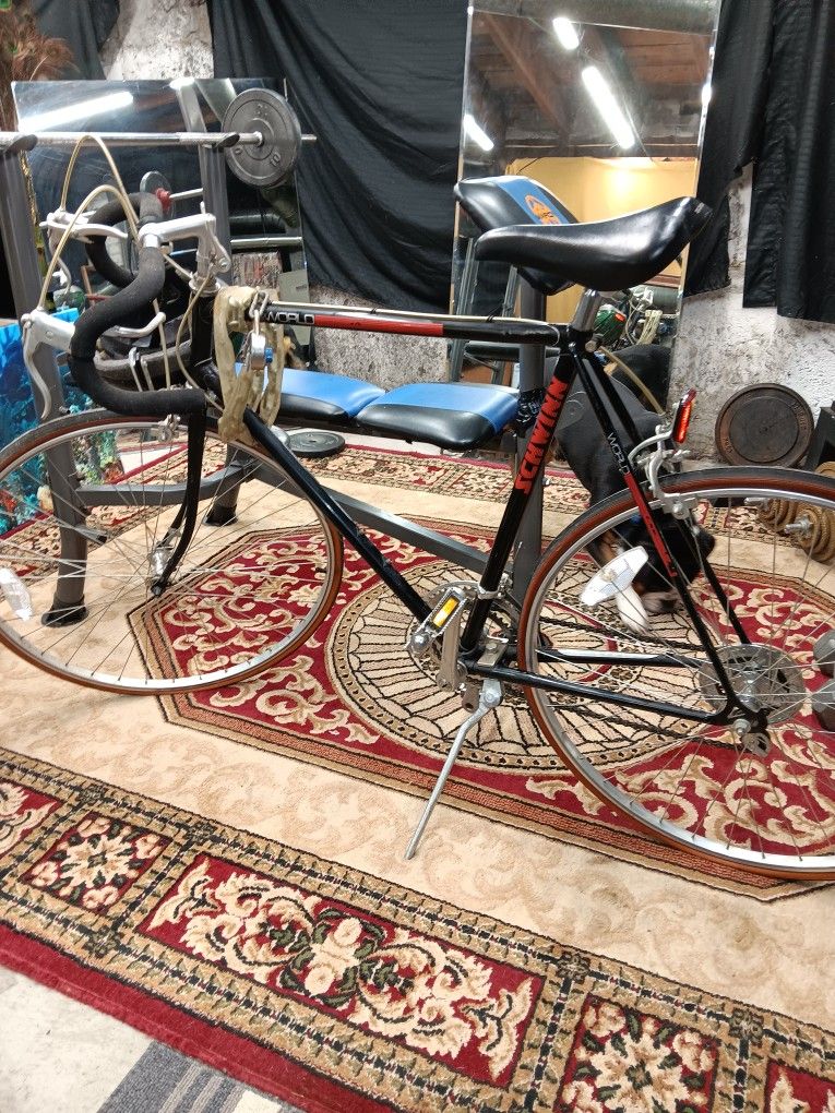 Vintage Bike