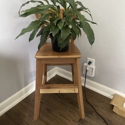 Small Bar Stool Or Plant Stands