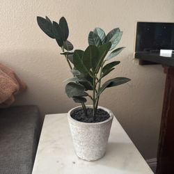 Faux Green Table plant