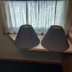 2 Lamp Shades