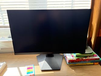 Computer Monitor 24”