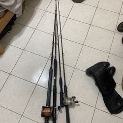 Fishing Rods And Reel