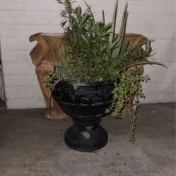 Large Decorative Planter W/ Plants