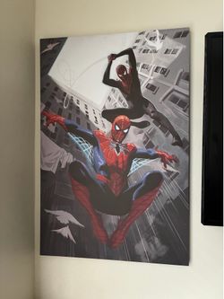 Spider man canvas picture / wall decor