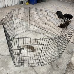 Dog Playpen 