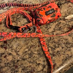 Dog Collar Leash And Baggy Holder Size Small 