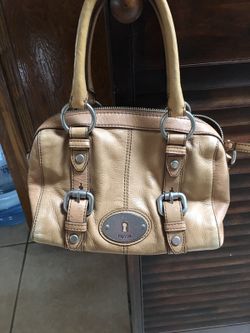 Fossil purse