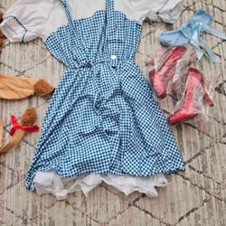 Dorothy Costum W/ Heels