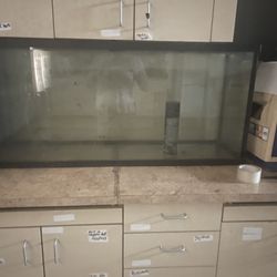 Large Glass Fish Tank