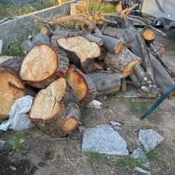 Wood For Sale