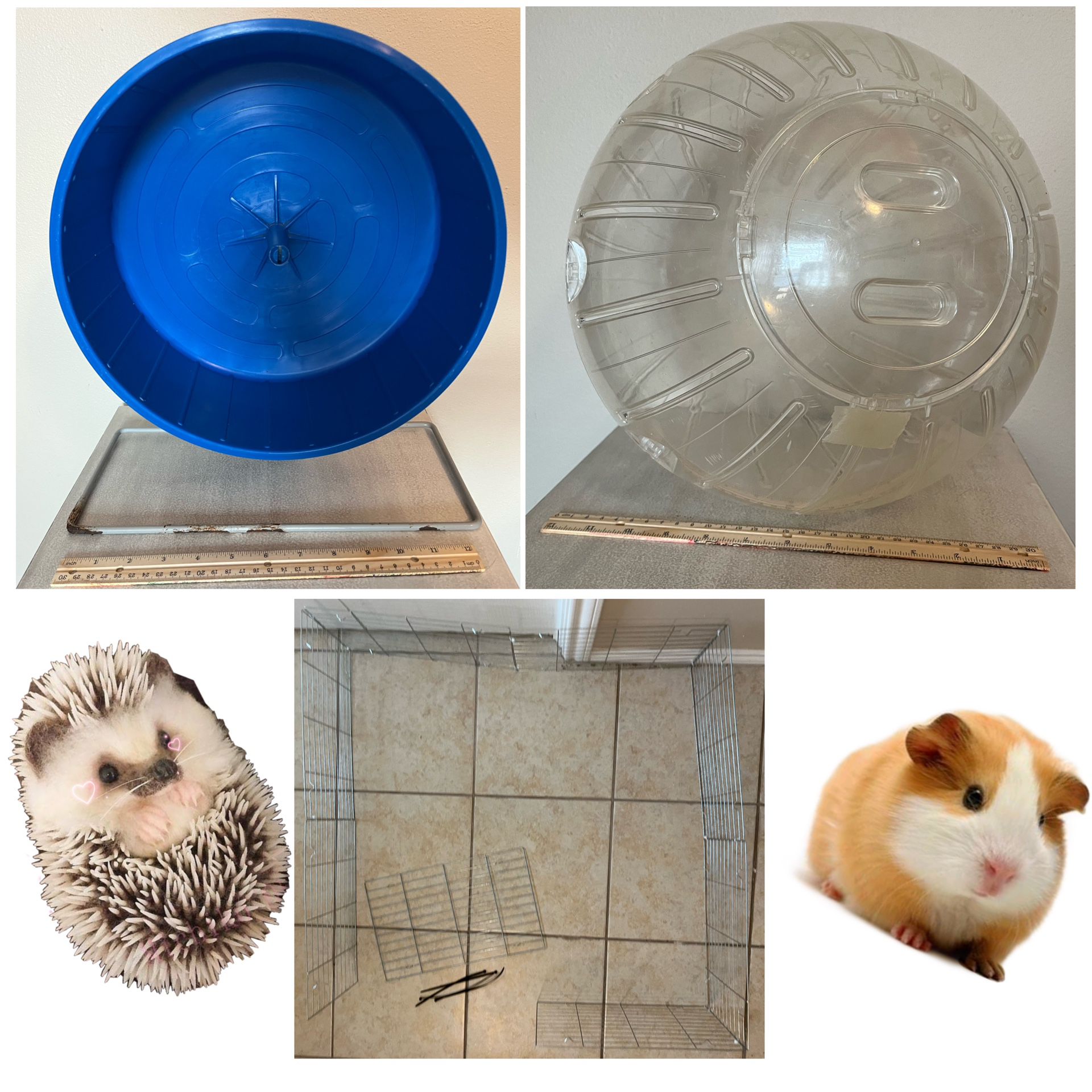 Pet Bundle For Hamster/ Guinea pig/ Hedgehog 