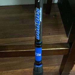 Fishing Spinning Rod