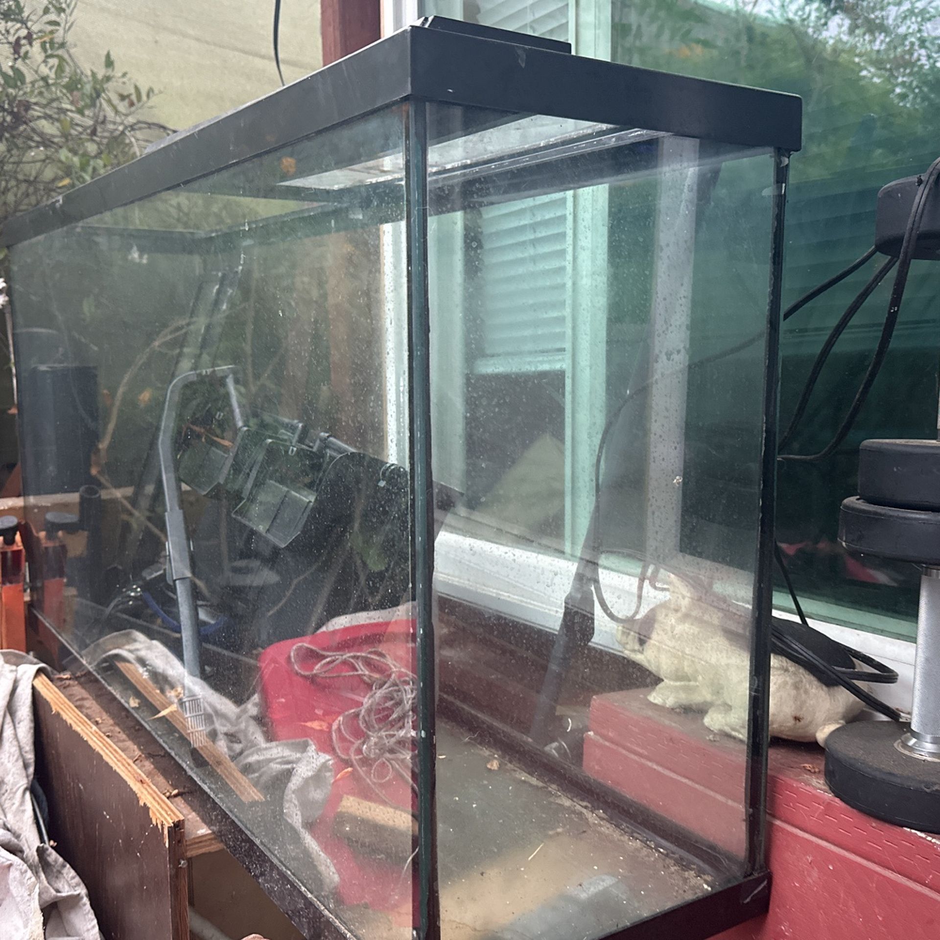 Fish Tank 