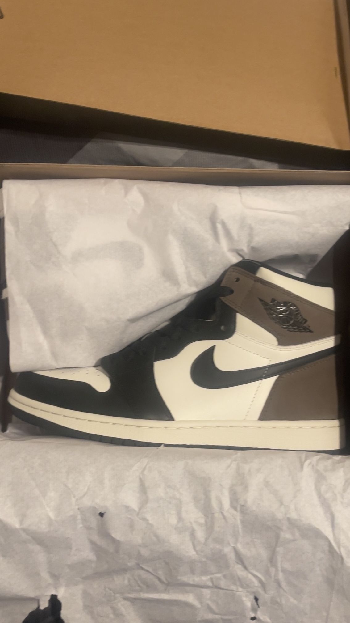 Mocha Brown Air Jordan 1
