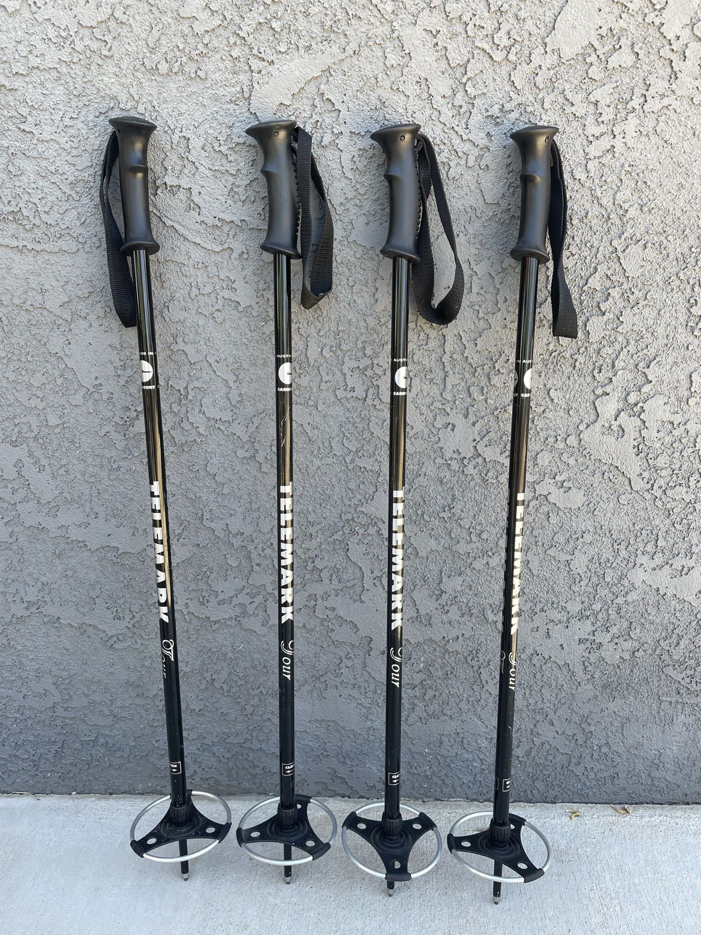 Telemark Expandable Trekking Poles