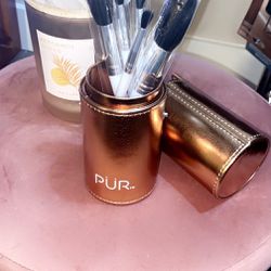 Brand New Pur Makeup Brushes 