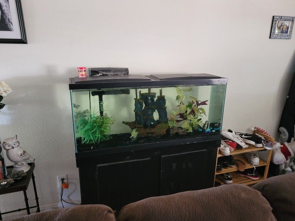 55 Gallon Fish Tank And Stand
