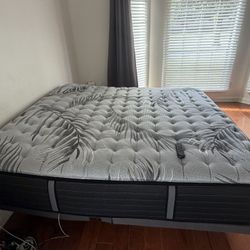 Adjustable Bed Base & Sealy Posturepedic plus mattress King Size Bedroom  Set