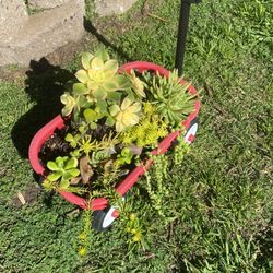 Little Cart. 12 ' with succulents👌