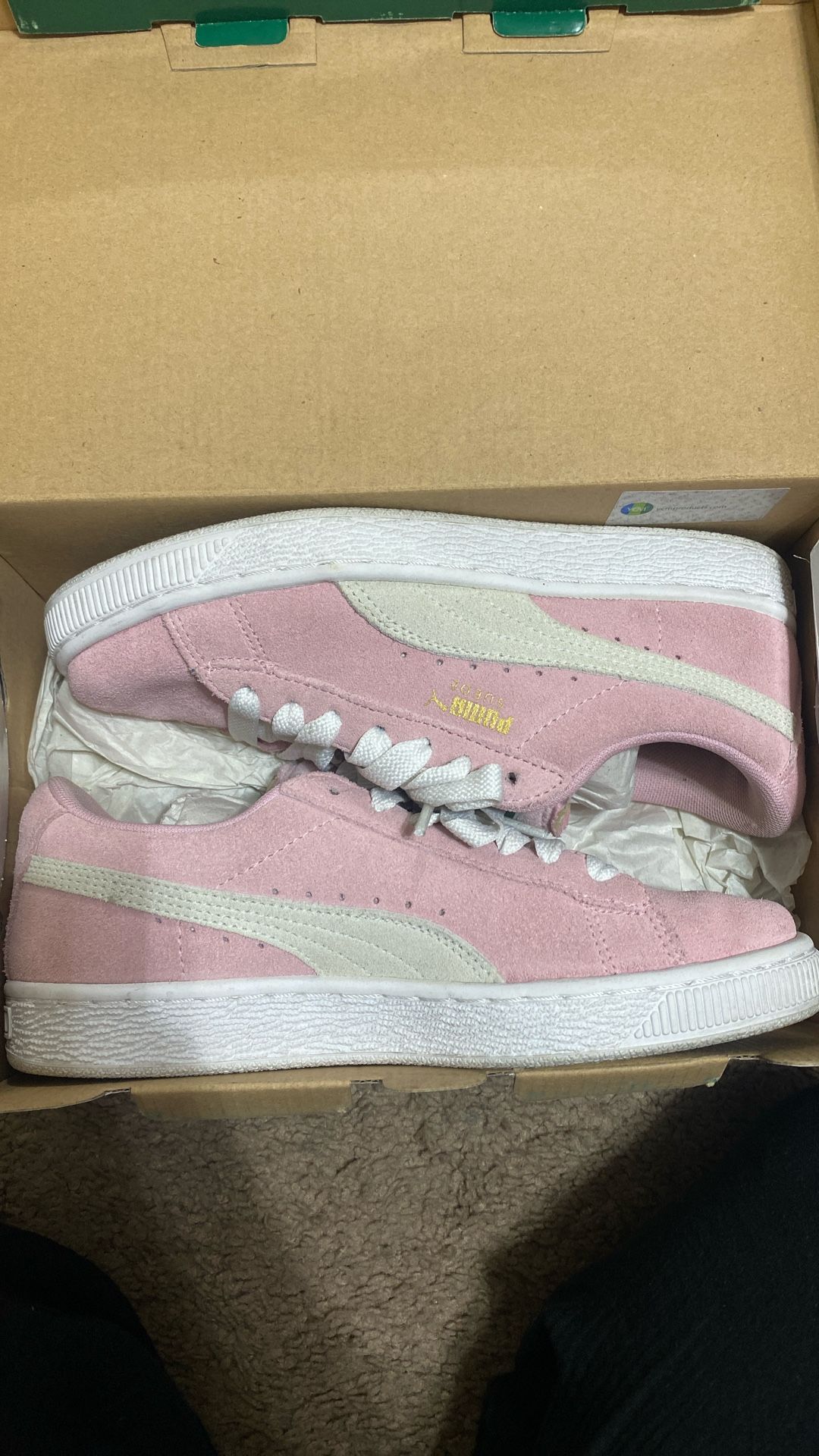Pink Pumas