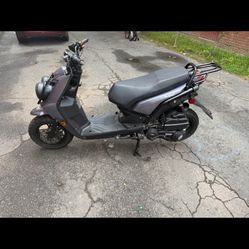 Wolf Brand Scoter Rugby 2023