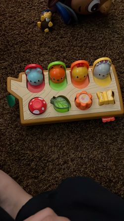 Fisher Price Ant Log Learning Toy 
