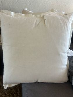 Free decorative pillows from Target