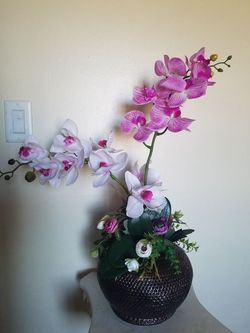 Orquid plant Artificial