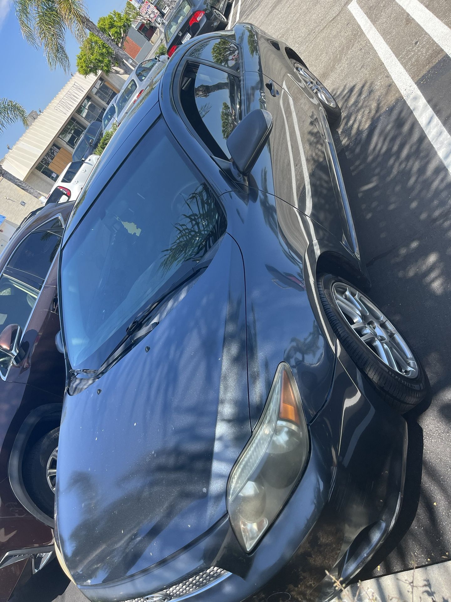 Toyota Sayon