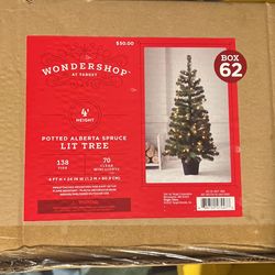 Potted Alberta Spruce Lit Tree