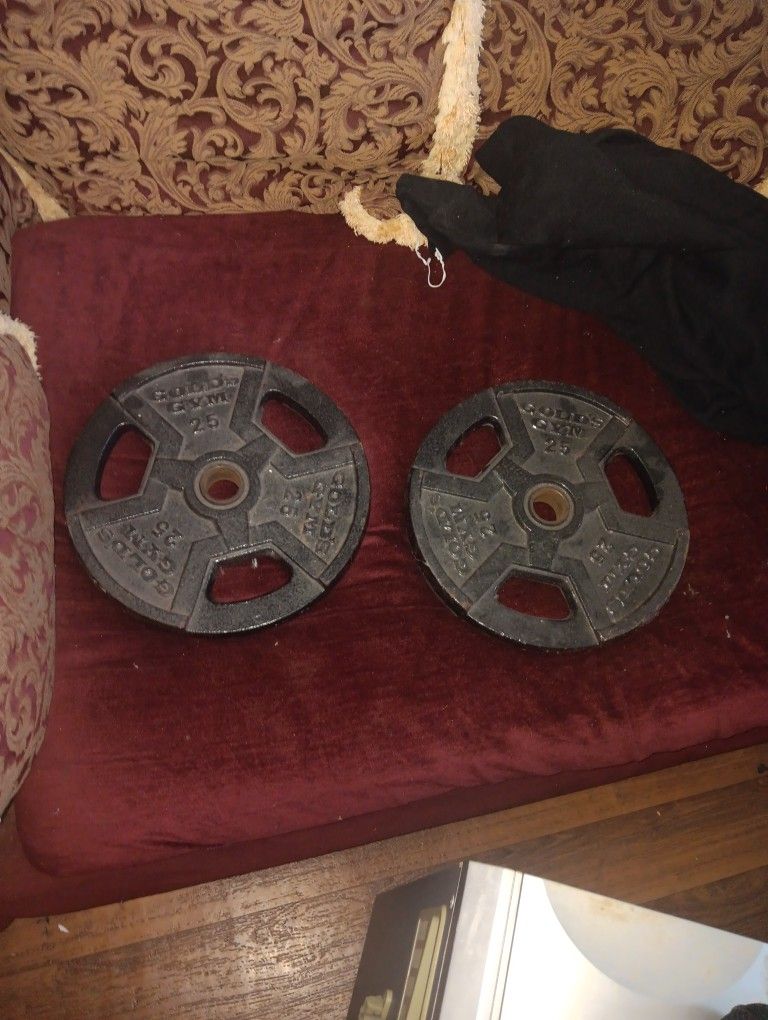 25 Pound Weight Plate Set
